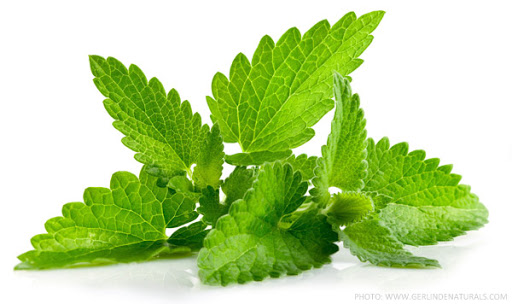 The Magical Effect & applications of peppermint essential oil