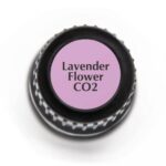 Plant Therapy Lavender Flower CO2 Extract