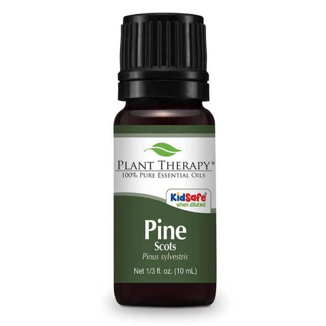 Plant Therapy Pine Scots Essential Oil