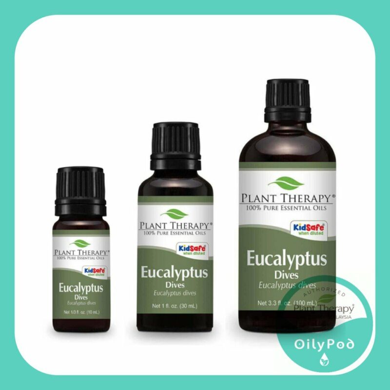 Plant Therapy Eucalyptus Dives Essential Oil Goodmart