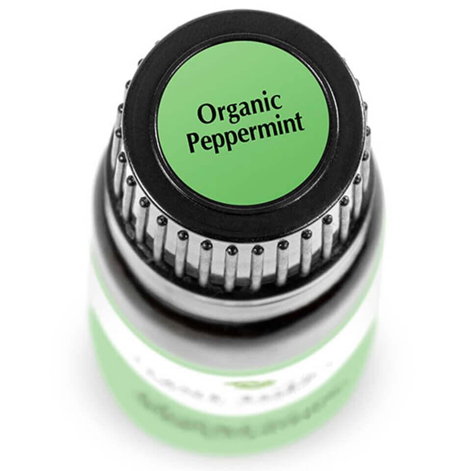 Plant Therapy Organic Spearmint Essential Oil