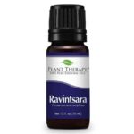 Plant Therapy Ravintsara Essential Oil