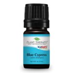 Plant Therapy Blue Cypress Essential Oil