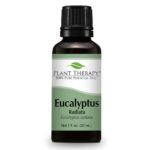 Plant Therapy Eucalyptus Radiata Essential Oil