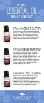 Plant Therapy Frankincense Carteri Essential Oil