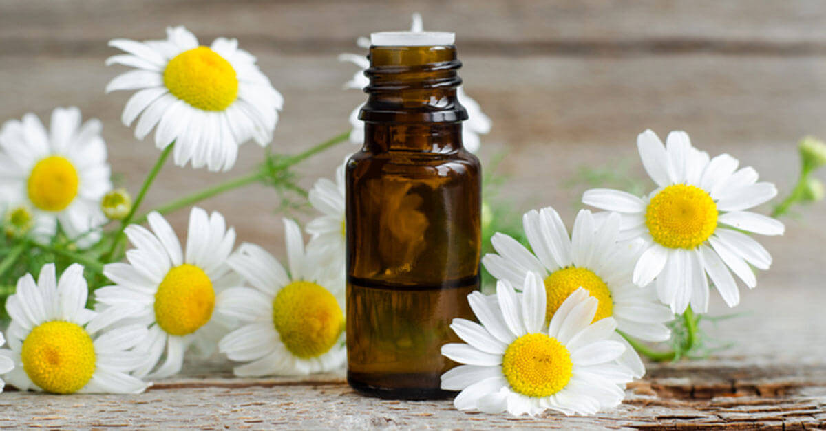 10 Best Essential Oils and How to Use Them