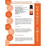 Plant Therapy Orange (Sweet) Essential Oil