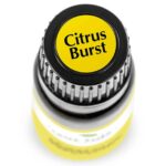 Plant Therapy Citrus Burst Synergy Essential Oil