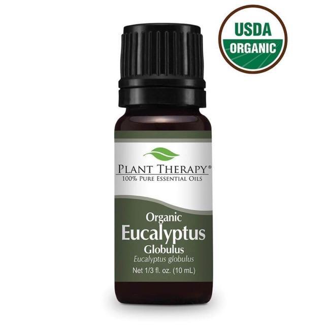 Plant Therapy Eucalyptus Globulus Organic Essential Oil
