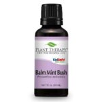 Plant Therapy Balm Mint Bush Essential Oil