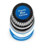 Plant Therapy Blue Yarrow Organic Essential Oil