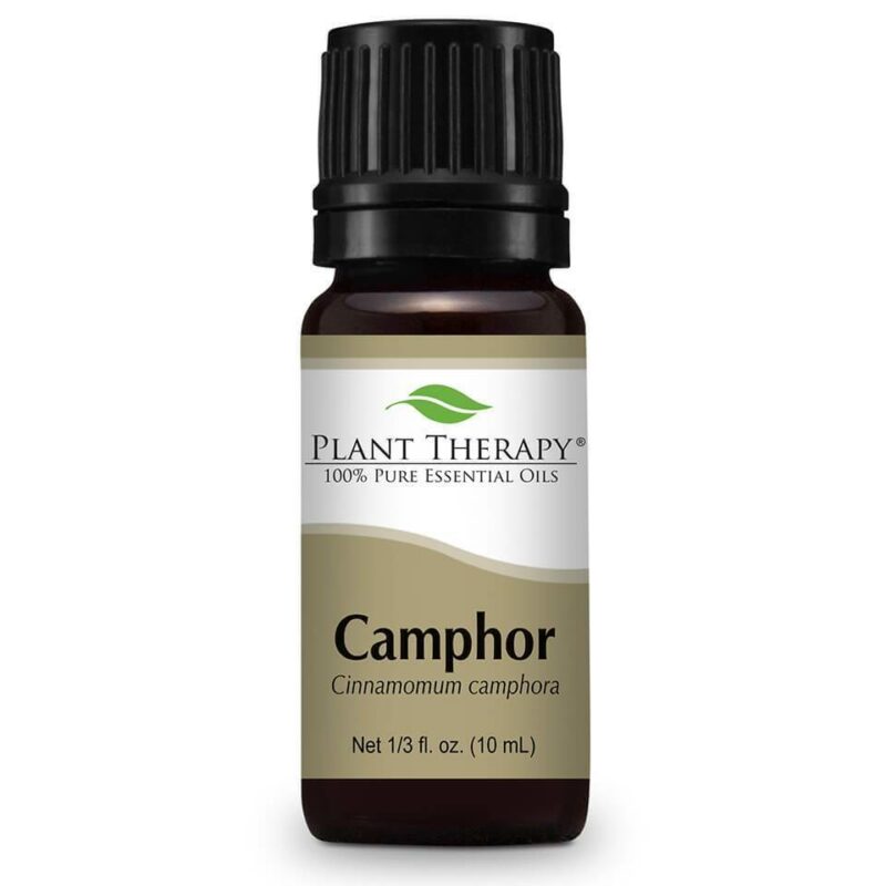 Plant Therapy Camphor Essential Oil