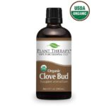 Plant Therapy Clove Bud Organic Essential Oil