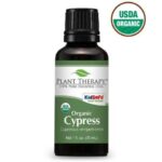 Plant Therapy Cypress Organic Essential Oil