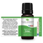 Plant Therapy Lime Steam Distilled Essential Oil