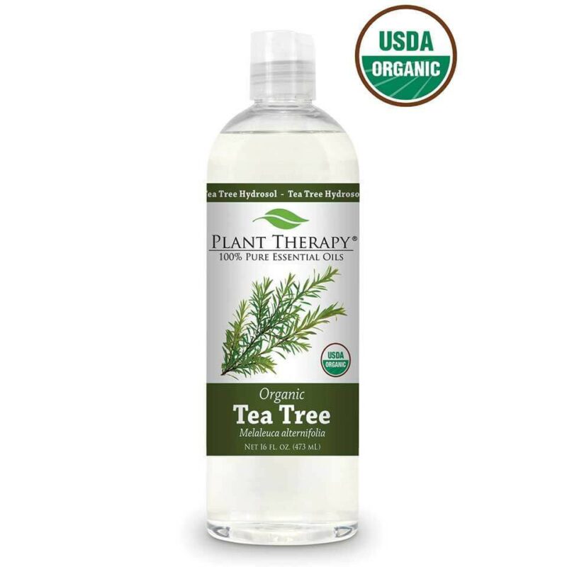 Plant Therapy Tea Tree Organic Hydrosol Goodmart