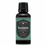 eucalyptus-dives-30ml-01