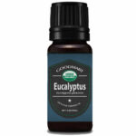 organic-eucalyptus-globulous-10ml-01