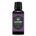 organic-lavender-30ml-01