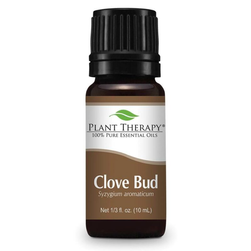 plant therapy clove bud essential oil 908507