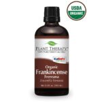 Plant Therapy Frankincense Frereana Organic Essential Oil